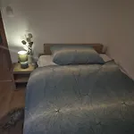 Anna Fuzine Apartment